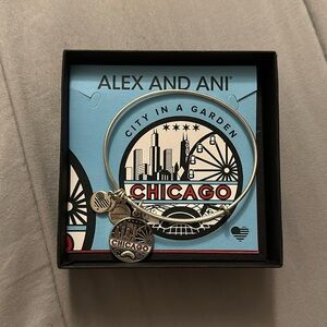 Alex & Ani chicago bracelet